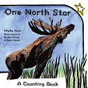 One north star : a counting book /