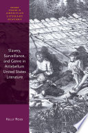 Slavery, surveillance, and genre in Antebellum United States literature /