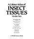A colour atlas of insect tissues via the flea /