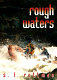 Rough waters /