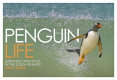 Penguin life : surviving with style in the South Atlantic /