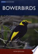 Bowerbirds /