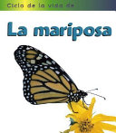 Ciclo de vida de La mariposa /