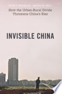 Invisible China : how the urban-rural divide threatens China's rise /