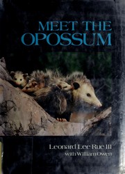 Meet the opossum /