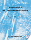 Ultrastructure of the Connective Tissue Matrix /