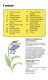Spotter's guide to wild flowers of North America /
