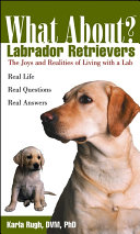 What about Labrador retrievers? /