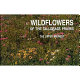 Wildflowers of the tallgrass prairie : the upper Midwest /