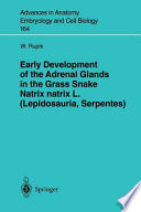 Early development of the adrenal glands in the grass snake : Natrix natrix L. (Lepidosauria, Serpentes) /