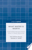 What water is worth : overlooked non-monetary value in water resources /