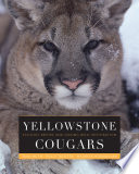 Yellowstone cougars : ecology before and after wolf restoration /