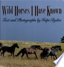 Wild horses I have known /