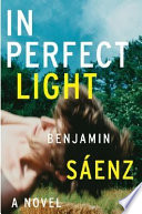 In perfect light : a novel /