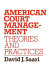 American court management : theories and practices /