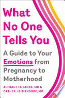 What no one tells you : a guide to your emotions from pregnancy to motherhood /