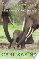 Beyond words : what animals think and feel /