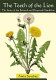 The teeth of the lion : the story of the beloved and despised dandelion /