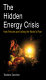 The hidden energy crisis : how policies are failing the world's poor /