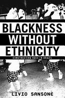 Blackness without ethnicity : constructing race in Brazil /
