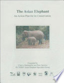 The Asian elephant : an action plan for its conservation /