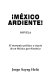 México ardiente! : novela ; el momento político a través de un México geo-histórico /