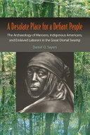 A desolate place for a defiant people : the archaeology of maroons, indigenous Americans, and enslaved laborers in the Great Dismal Swamp /