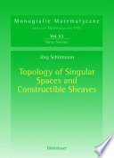 Topology of singular spaces and constructible sheaves /