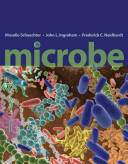 Microbe /