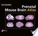Prenatal mouse brain atlas /