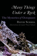 Many things under a rock : the mysteries of octopuses /