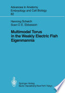 Multimodal Torus in the Weakly Electric Fish Eigenmannia /