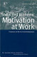 Social and economic motivation at work : theories of work motivation reassessed /