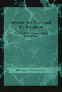 Between the norm and the exception : the Frankfurt school and the rule of law /