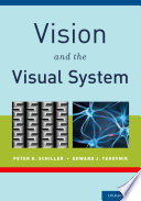 Vision and the visual system /