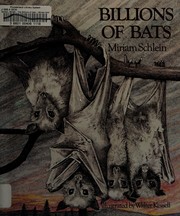 Billions of bats /