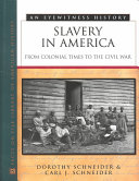 Slavery in America : from colonial times to the Civil War /