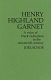 Henry Highland Garnet : a voice of Black radicalism in the nineteenth century : his anti-slavery and civil rights role to 1865 /