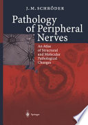 Pathology of peripheral nerves : an atlas of structural and molecular pathological changes /