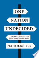 One nation undecided : clear thinking about five hard issues that divide us /