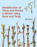 Identification of trees and shrubs in winter using buds and twigs /