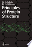 Principles of protein structure /