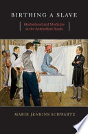 Birthing a slave : motherhood and medicine in the antebellum South /