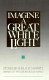 Imagine a great white light : stories /