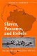 Slaves, peasants, and rebels : reconsidering Brazilian slavery /