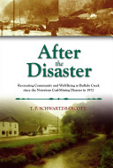 After the disaster : re-creating community and well-being at Buffalo Creek since the notorious coal mining disaster in 1972 /