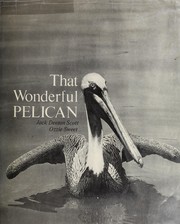 That wonderful pelican /