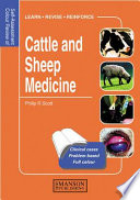 Cattle and sheep medicine /