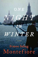 One night in winter : a novel /
