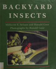 Backyard insects /